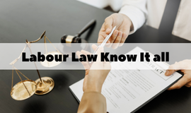 Labour Law Know It All